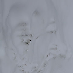 фото "snow portrait"