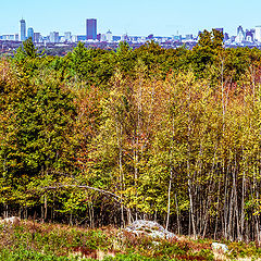 photo "Boston on the Horizon"