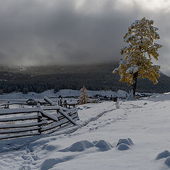 фото "Зима на Алтае"