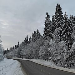 фото "на вираже. Где то в Карелии"