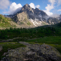 фото "Утро"