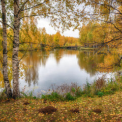 фото "Золотая осень"