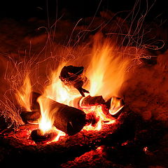 photo "Fire dance"