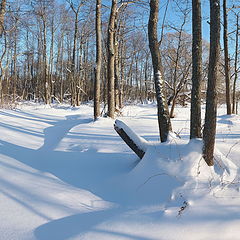 фото "Ольшаник."