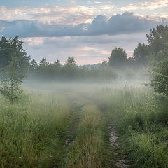 фото "Ранняя дорога"