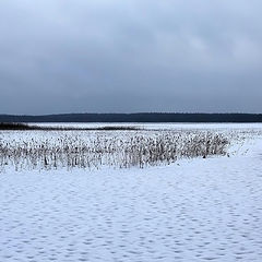 фото "Ridasjärvi"