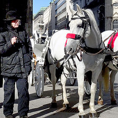 фото "Vienna - carriages and coachmen."