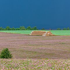 фото "Гроза идет-2"