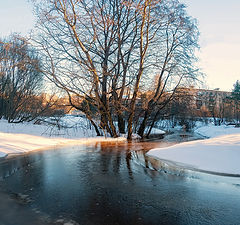 фото "Весенние проблески"