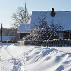 фото "Поземка"