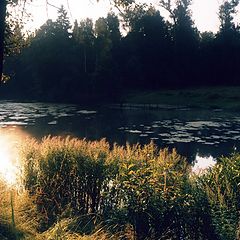 фото "Утренний пруд в Мартьянове"
