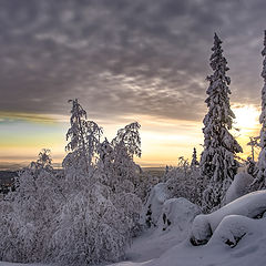 фото "Зимний день"