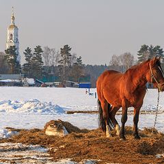 фото "Запахло весной !"