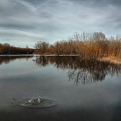 фото "Глюк... (Разлив)"