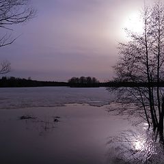 фото "Мартовская вода"