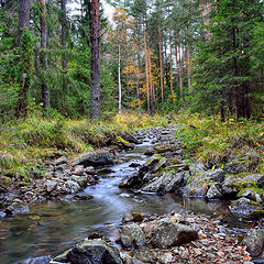 фото "Ручеёк"