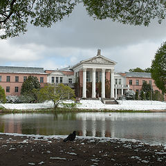 photo "The Main Botanical Garden. Snow at the Beginning of May 2024."