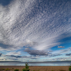 фото "Чудо-птицы облака над Чудским озером..."