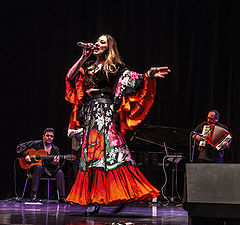 photo "Gypsy Performance"