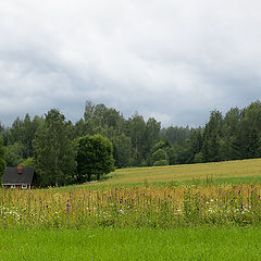 photo "***"