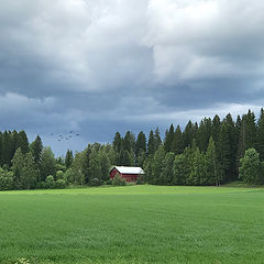 photo "***"