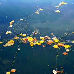 photo "***"