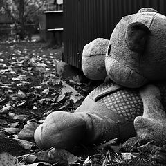 фото "Потерянный."