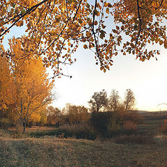 photo "***"