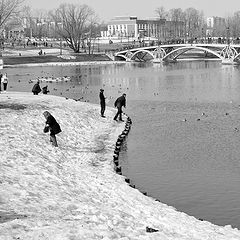photo "март. оттепель."