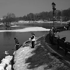 photo "***"