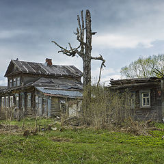 фото "В Михайловском"