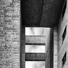 фото "***"