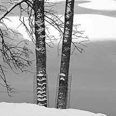 фото "Зимний пейзаж"