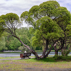 photo "***"