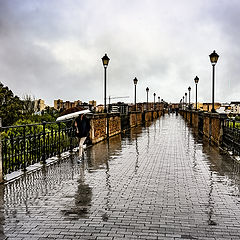 photo "Bridge of Palms"