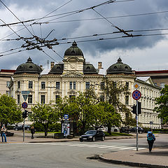 фото "Сплетение проводов"