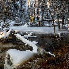 фото "Первый снег"