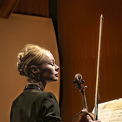 photo "Violinist"