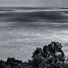 photo "Silver ocean"
