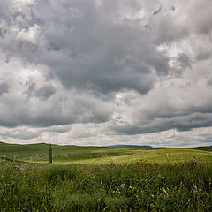 photo "***"