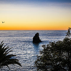 photo "Sunset"