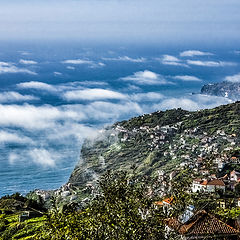 photo "Life in the clouds"