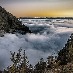 photo "Life in the clouds. Dusk"