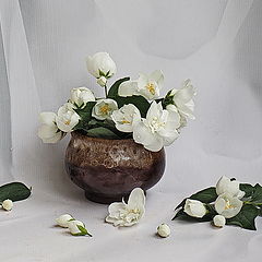 photo "***"