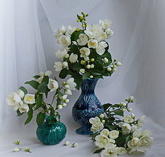 photo "***"