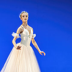 photo "At the ballet competition"
