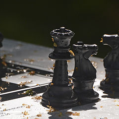 photo "***"