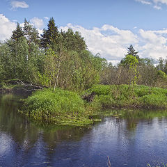 фото "Панорама реки Орша"