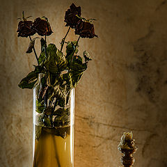 photo "***"
