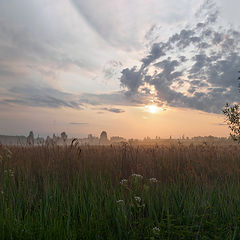 photo "***"